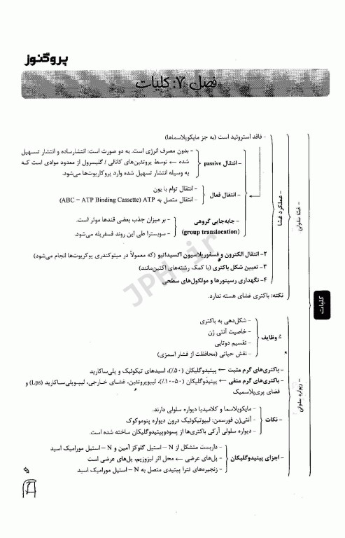درسنامه پروگنوز علوم پایه دندانپزشکی عفونی1 (ویروس و باکتری) 1404