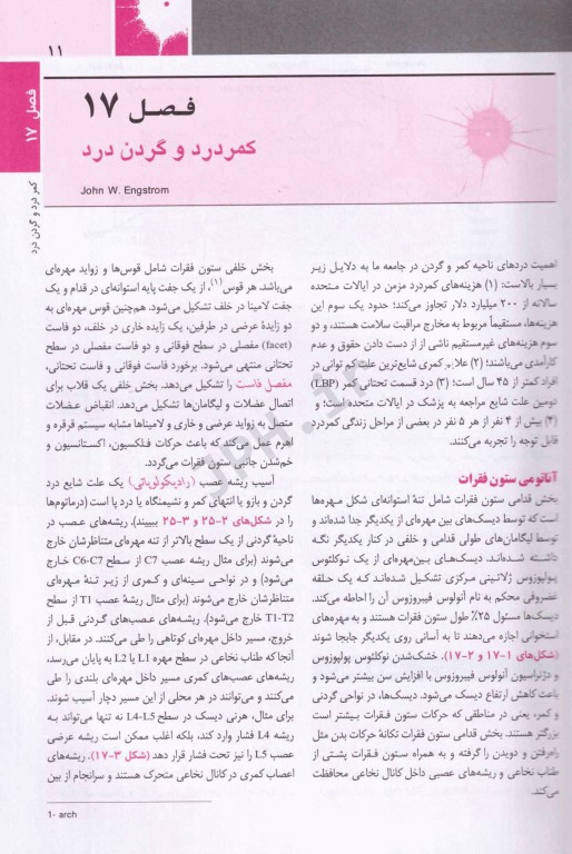 اصول طب داخلی هاریسون 2022 بیماری‌های روماتولوژی