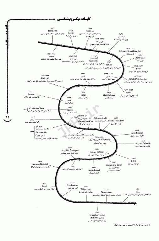AGK الگوریتم باکتری‌شناسی عمومی و سیستماتیک
