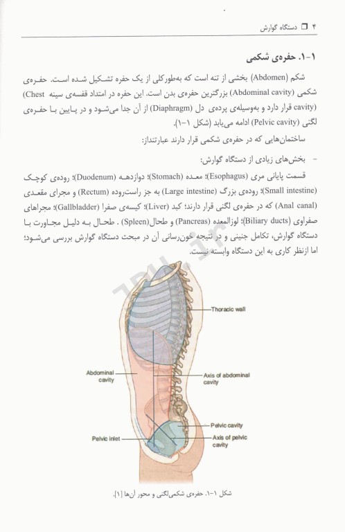 دستگاه گوارش: آناتومی، بافت شناسی، جنین شناسی و فیزیولوژی