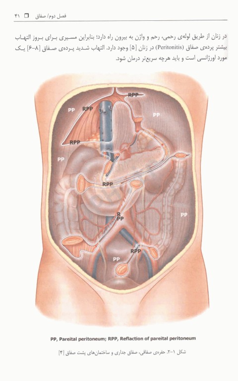 دستگاه گوارش: آناتومی، بافت شناسی، جنین شناسی و فیزیولوژی