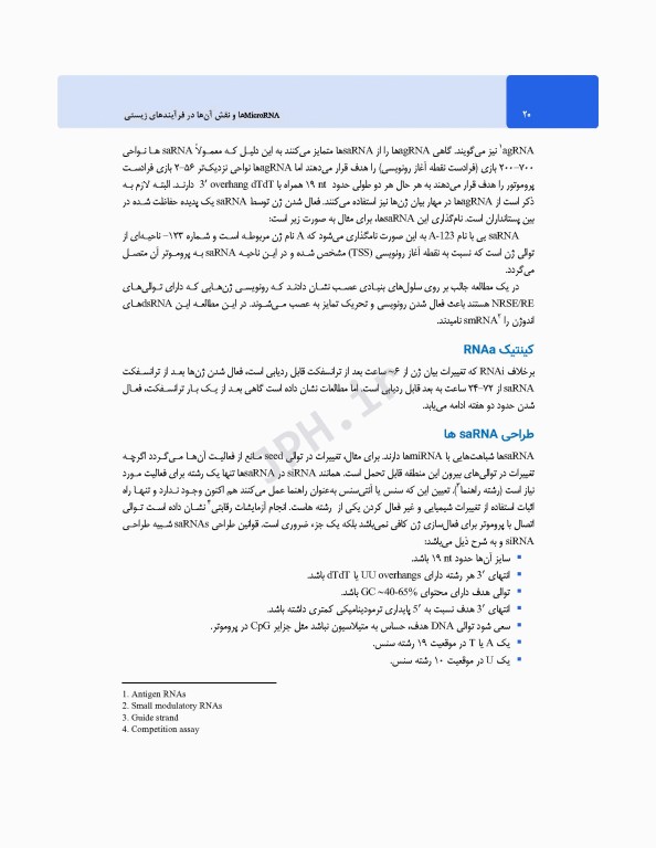 MicroRNA‌ها و نقش آن‌ها در فرآیندهای زیستی