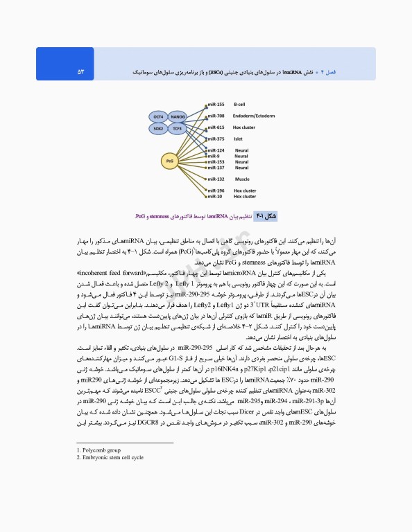 MicroRNA‌ها و نقش آن‌ها در فرآیندهای زیستی