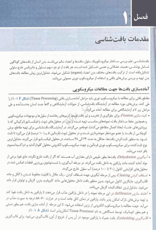 بافت‌شناسی عملی تالیف دکتر طیبه رستگار