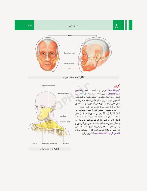 آناتومی گری برای دانشجویان 2024 جلد3 سر و گردن ترجمه پروفسور علیرضا زالی
