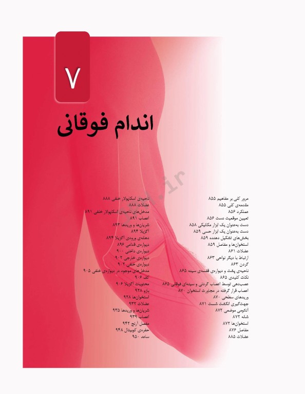 آناتومی گری برای دانشجویان 2024 جلد2 اندام ترجمه پروفسور علیرضا زالی