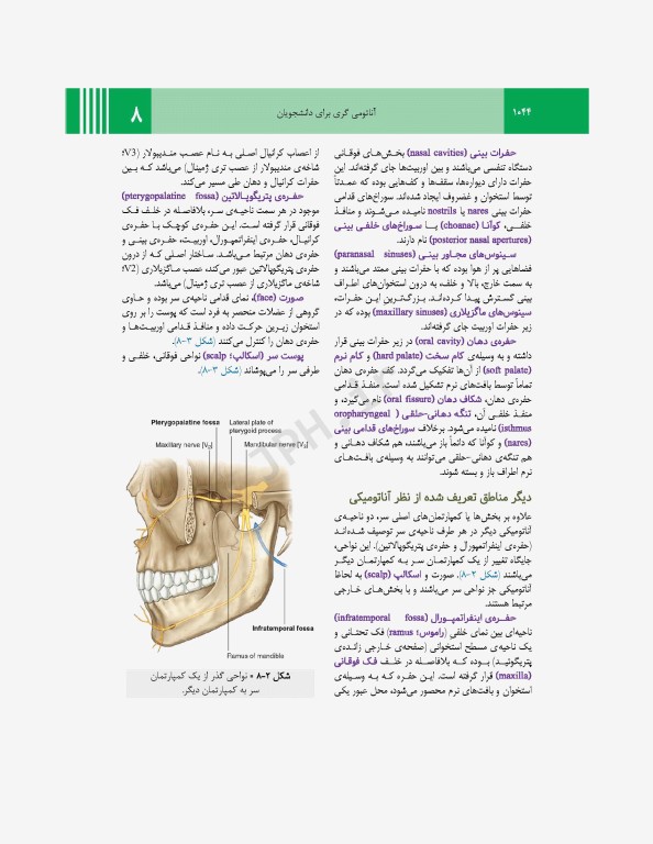 آناتومی گری برای دانشجویان 2024 جلد3 سر و گردن ترجمه پروفسور علیرضا زالی