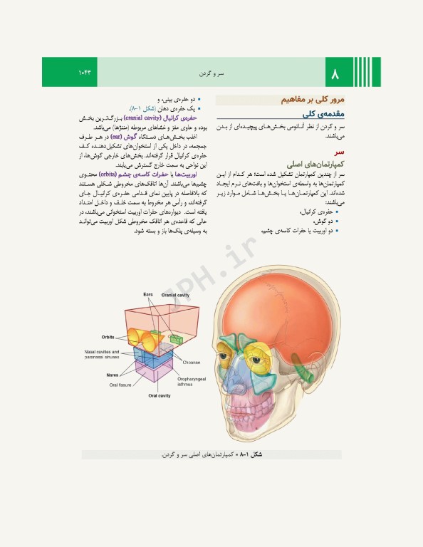 آناتومی گری برای دانشجویان 2024 جلد3 سر و گردن ترجمه پروفسور علیرضا زالی