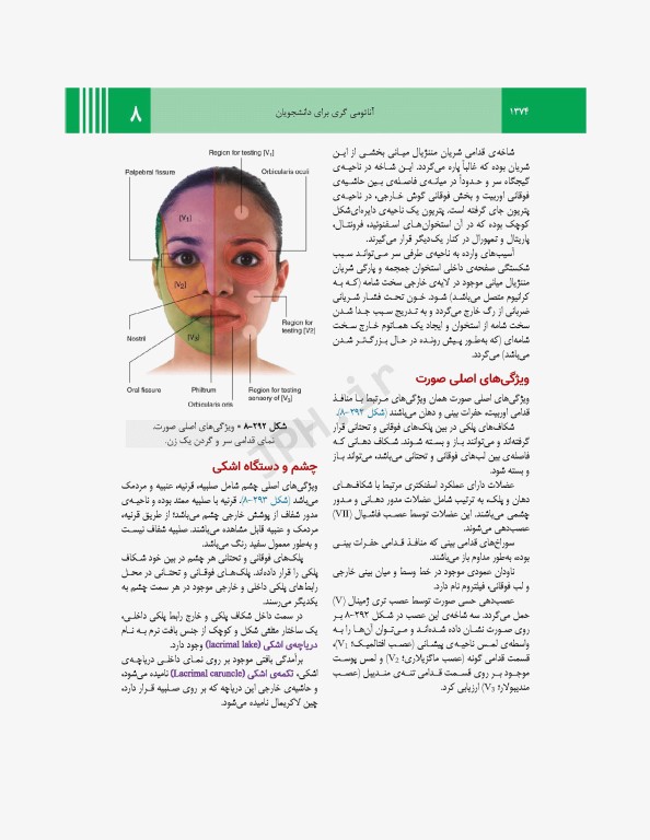 آناتومی گری برای دانشجویان 2024 جلد3 سر و گردن ترجمه پروفسور علیرضا زالی