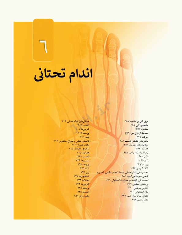 آناتومی گری برای دانشجویان 2024 جلد2 اندام ترجمه پروفسور علیرضا زالی