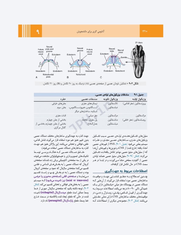 آناتومی گری برای دانشجویان 2024 جلد4 نوروآناتومی ترجمه پروفسور علیرضا زالی