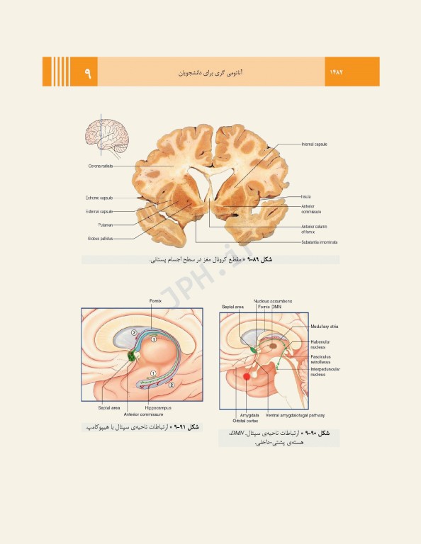آناتومی گری برای دانشجویان 2024 جلد4 نوروآناتومی ترجمه پروفسور علیرضا زالی