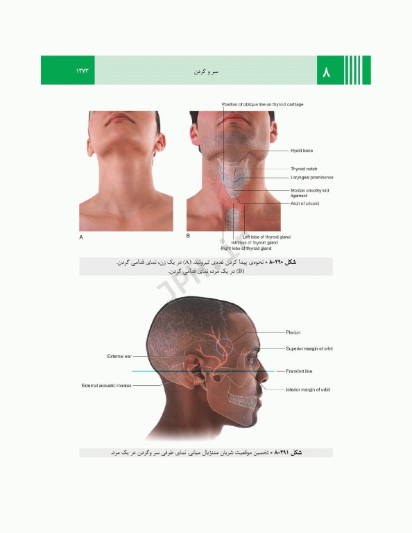 آناتومی گری برای دانشجویان 2024 جلد3 سر و گردن ترجمه پروفسور علیرضا زالی