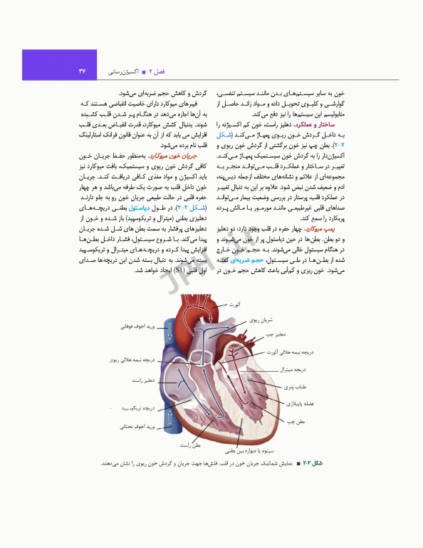 اصول و مهارت‌های پرستاری پاتروپری