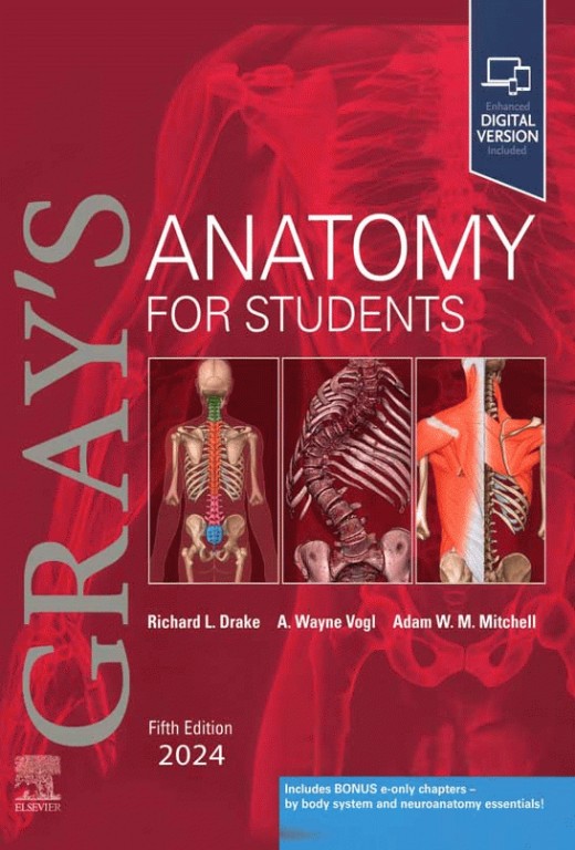 آناتومی گری برای دانشجویان 2024 وزیری جلد هارد | Gray's Anatomy for Students 5th Edition