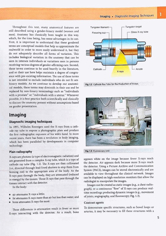 آناتومی گری برای دانشجویان 2024 وزیری جلد هارد | Gray's Anatomy for Students 5th Edition