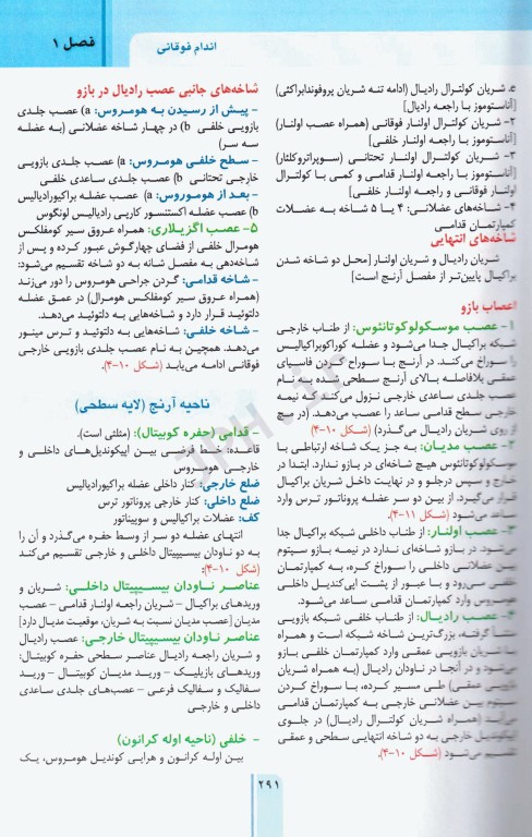 RRS مرور سریع آناتومی اندام