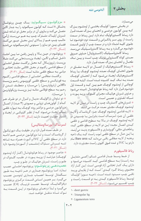 RRS مرورسریع آناتومی تنه