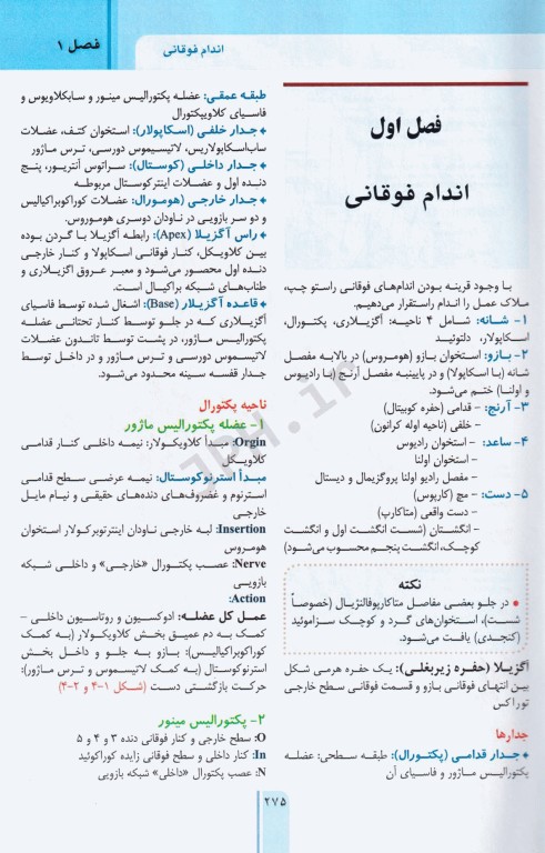 RRS مرور سریع آناتومی اندام