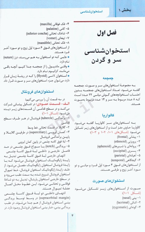 RRS مرور سریع استخوان‌شناسی آناتومی سر و گردن