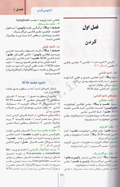 RRS مرور سریع استخوان‌شناسی آناتومی سر و گردن