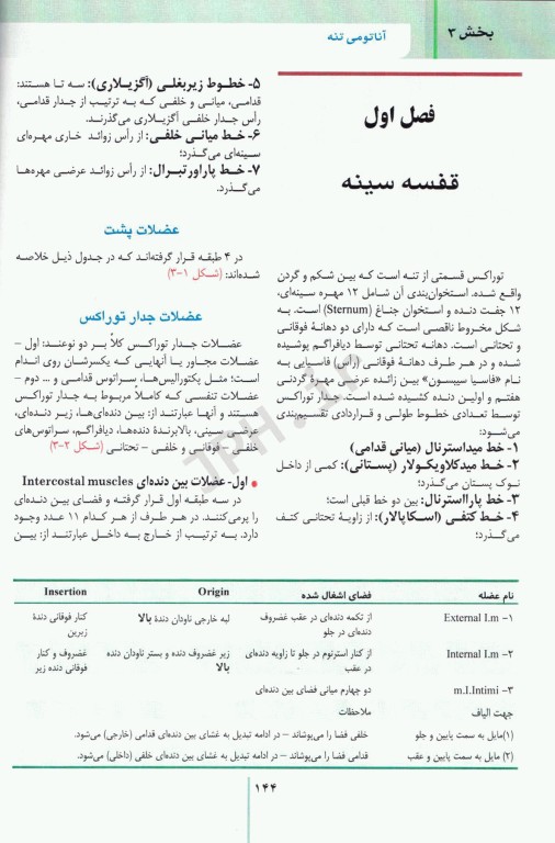 RRS مرورسریع آناتومی تنه