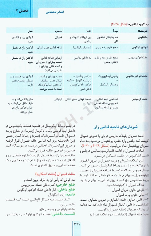 RRS مرور سریع آناتومی اندام