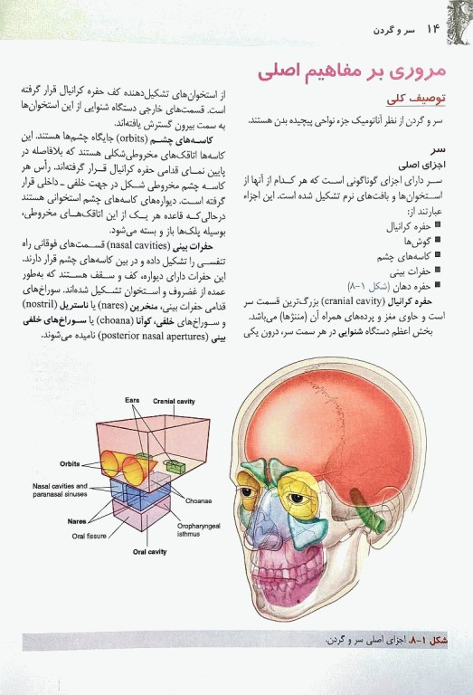 آناتومی گری 2024 برای دانشجویان جلد3 سر و گردن دکتر رضا شیرازی