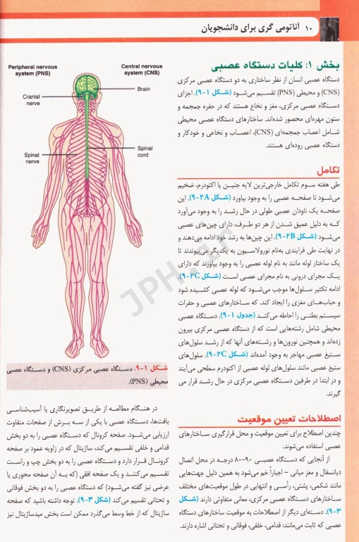 آناتومی گری برای دانشجویان 2024 جلد چهارم نوروآناتومی ترجمه دکتر حسن‌زاده