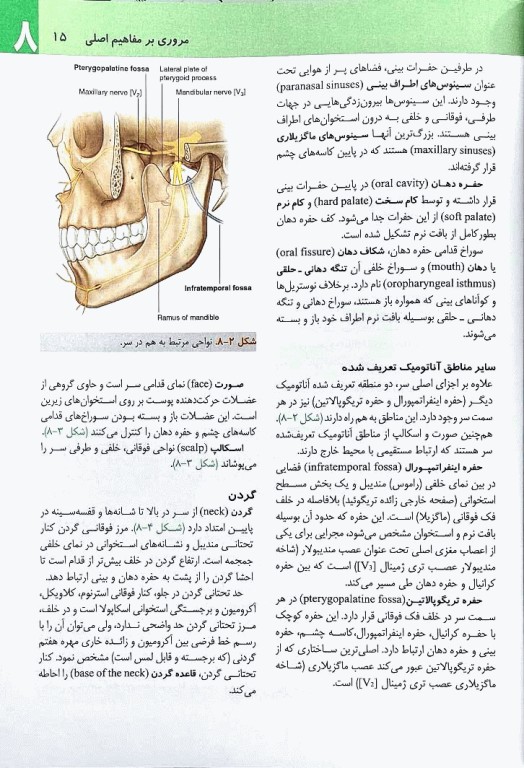 آناتومی گری 2024 برای دانشجویان جلد3 سر و گردن دکتر رضا شیرازی