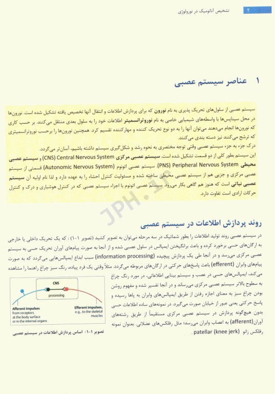 تشخیص آناتومیک در نورولوژی آناتومی، فیزیولوژی، علائم، نشانه‌ها 2019 پیتر دوس