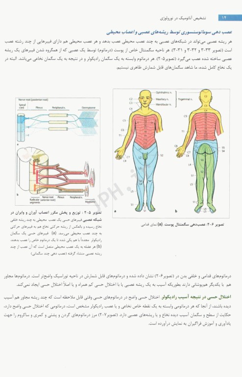 تشخیص آناتومیک در نورولوژی آناتومی، فیزیولوژی، علائم، نشانه‌ها 2019 پیتر دوس