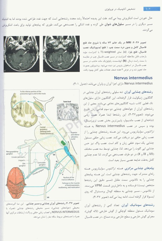 تشخیص آناتومیک در نورولوژی آناتومی، فیزیولوژی، علائم، نشانه‌ها 2019 پیتر دوس