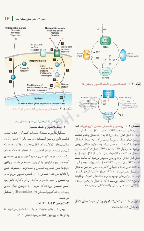 بیولوژی سلولی و مولکولی دکتر جواد محمدنژاد