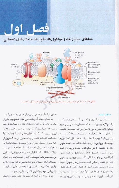 بیولوژی سلولی و مولکولی دکتر جواد محمدنژاد