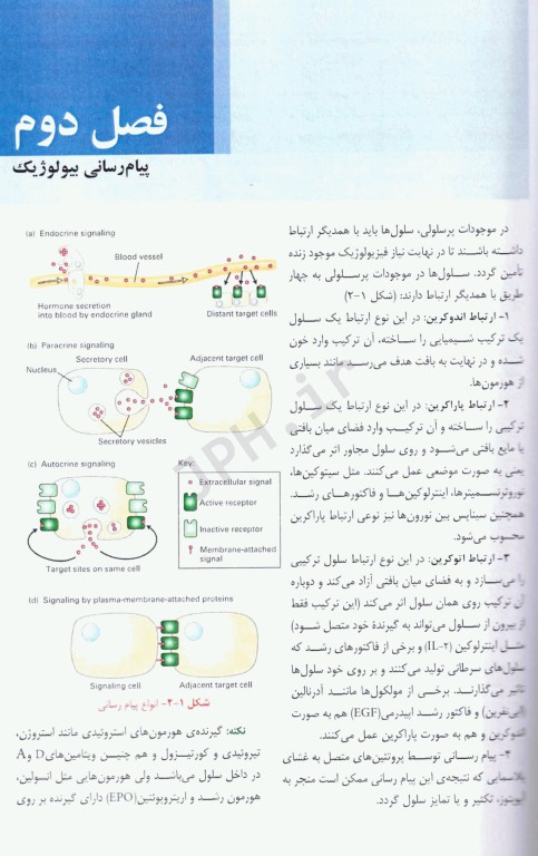 بیولوژی سلولی و مولکولی دکتر جواد محمدنژاد