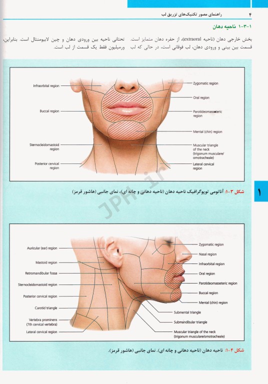 راهنمای مصور تکنیک‌های تزریق فیلر لب ترجمه دکتر داوود رمزی