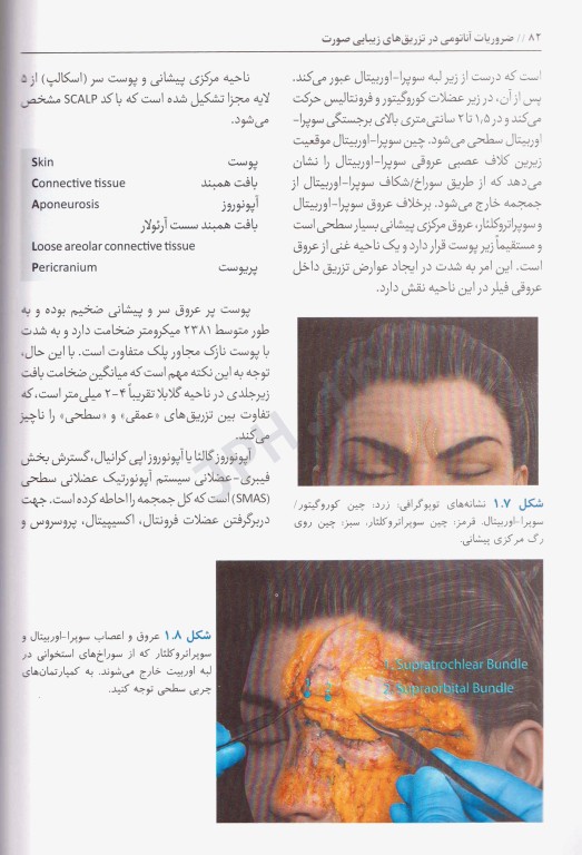 ضروریات آناتومی در تزریق‌های زیبایی صورت 2020 ترجمه دکتر داوود رمزی
