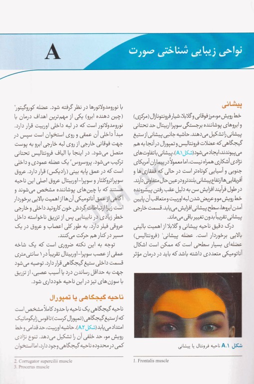 ضروریات آناتومی در تزریق‌های زیبایی صورت 2020 ترجمه دکتر داوود رمزی