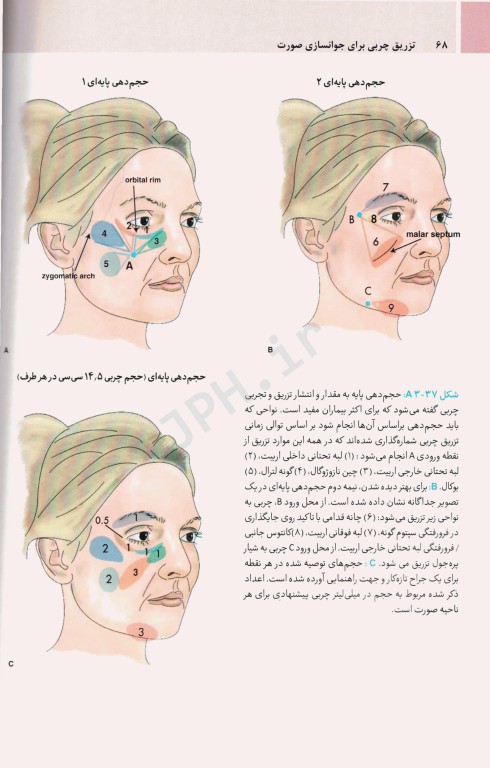 تزریق چربی برای جوانسازی صورت ترجمه دکتر داوود رمزی
