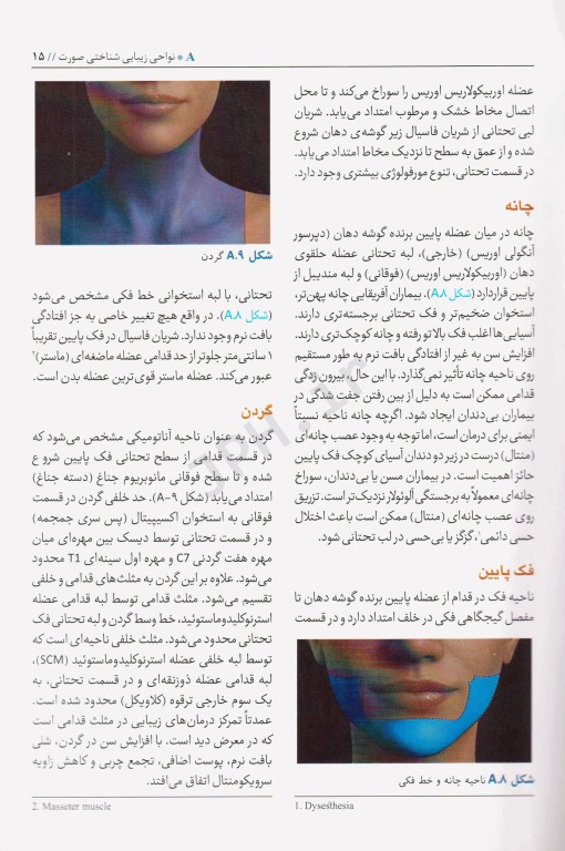 ضروریات آناتومی در تزریق‌های زیبایی صورت 2020 ترجمه دکتر داوود رمزی