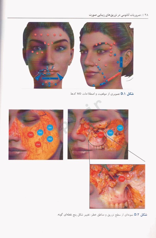 ضروریات آناتومی در تزریق‌های زیبایی صورت 2020 ترجمه دکتر داوود رمزی