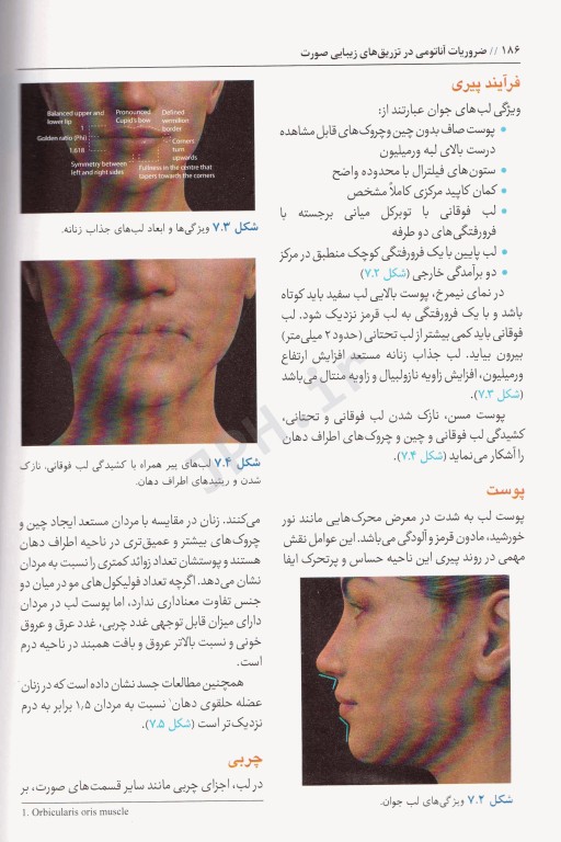 ضروریات آناتومی در تزریق‌های زیبایی صورت 2020 ترجمه دکتر داوود رمزی