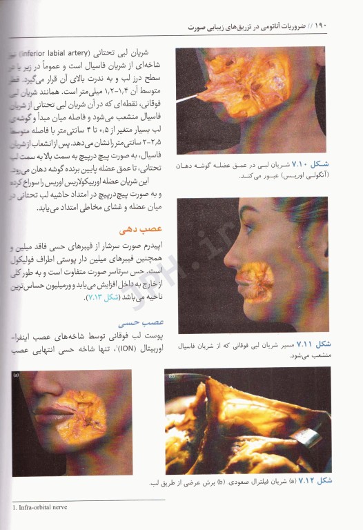ضروریات آناتومی در تزریق‌های زیبایی صورت 2020 ترجمه دکتر داوود رمزی