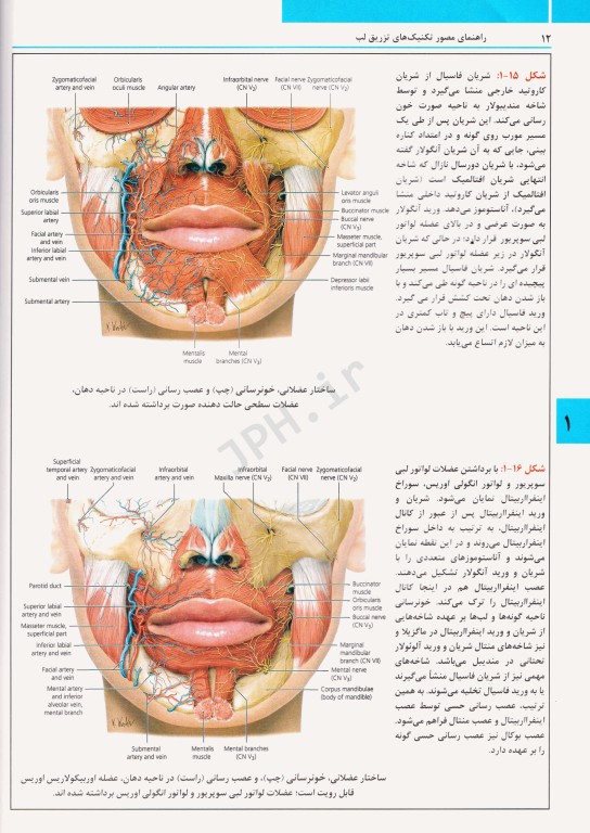 راهنمای مصور تکنیک‌های تزریق فیلر لب ترجمه دکتر داوود رمزی