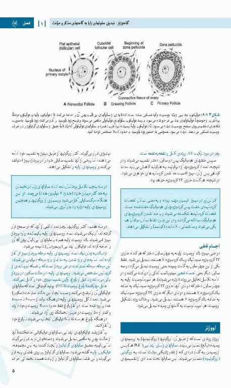 درسنامه جامع آزمون محور مامایی گلبان جنین‌شناسی