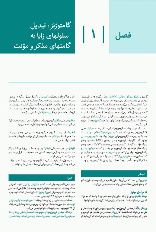 درسنامه جامع آزمون محور مامایی گلبان جنین‌شناسی