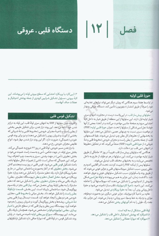 درسنامه جامع آزمون محور مامایی گلبان جنین‌شناسی