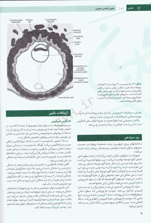 درسنامه جامع آزمون محور مامایی گلبان جنین‌شناسی
