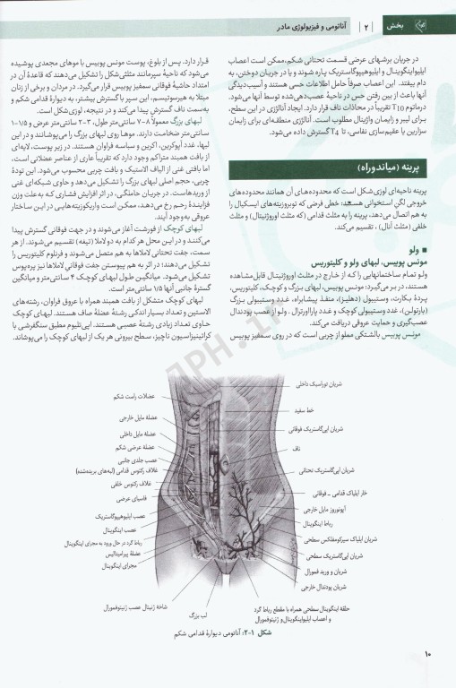 درسنامه جامع آزمون محور مامایی گلبان بارداری و زایمان